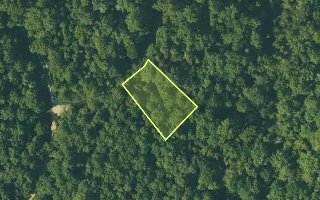 Aerial view of FULTON County parcel 295-17372-000 — Arkansas post-auction with approximate parcel outline