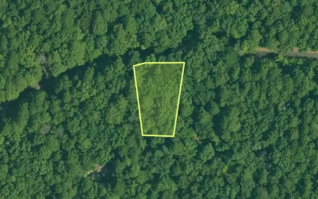 Aerial view of GARLAND County parcel 61969 — Arkansas post-auction with approximate parcel outline