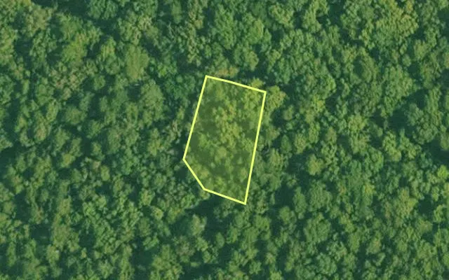 Aerial view of SALINE County parcel 648-00017-000 — Arkansas post-auction with approximate parcel outline
