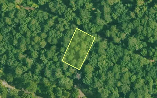 Aerial view of SALINE County parcel 772-00103-000 — Arkansas post-auction with approximate parcel outline
