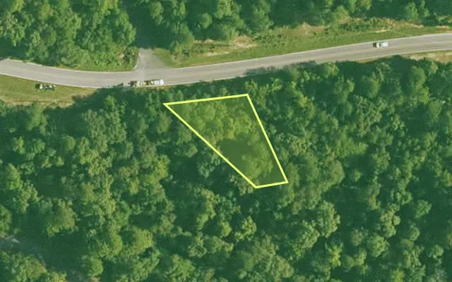 Aerial view of SALINE County parcel 596-00091-000 — Arkansas post-auction with approximate parcel outline