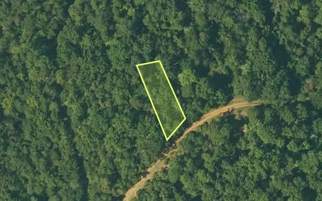 Aerial view of FULTON County parcel 110-10499-000 — Arkansas post-auction with approximate parcel outline