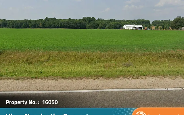 LandCentral listing preview for 0.46 acres in Todd, MN — 16050