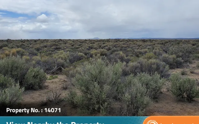 LandCentral listing preview for 5 acres in Lake, OR — 14071