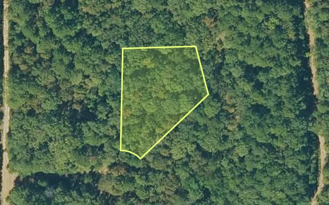 Aerial view of VAN BUREN County parcel 4300-06094-0000 — Arkansas post-auction with approximate parcel outline