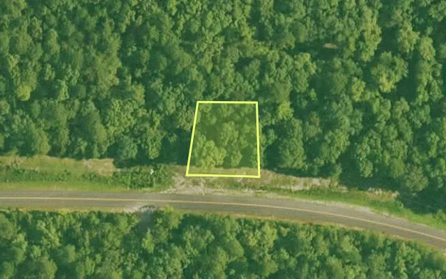 Aerial view of SALINE County parcel 492-00018-000 — Arkansas post-auction with approximate parcel outline