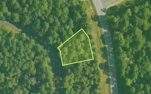 Aerial view of GARLAND County parcel 58325 — Arkansas post-auction with approximate parcel outline