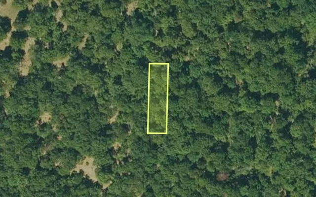 Aerial view of IZARD County parcel 800-06163-000 — Arkansas post-auction with approximate parcel outline
