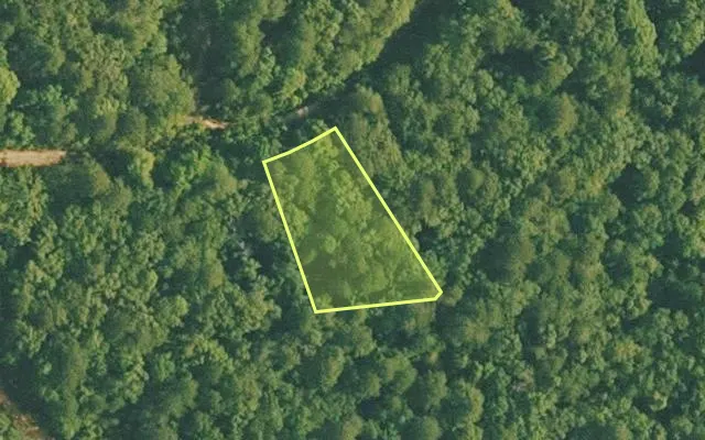 Aerial view of VAN BUREN County parcel 4500-01401-0000 — Arkansas post-auction with approximate parcel outline