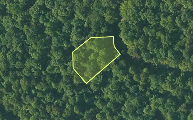 Aerial view of FULTON County parcel 255-15846-000 — Arkansas post-auction with approximate parcel outline