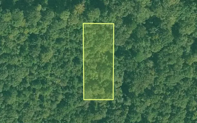 Aerial view of UNION County parcel 00000-10234-0000 — Arkansas post-auction with approximate parcel outline