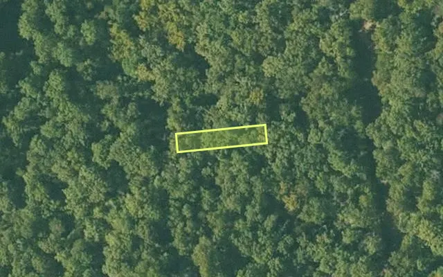 Aerial view of SHARP County parcel 206-00011-000 — Arkansas post-auction with approximate parcel outline