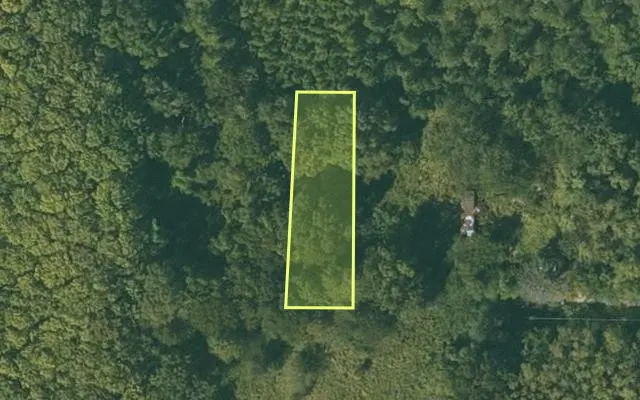 Aerial view of CHICOT County parcel 050-03921-000 — Arkansas post-auction with approximate parcel outline