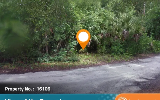 LandCentral listing preview for 0.11 acres in Citrus, FL — 16106