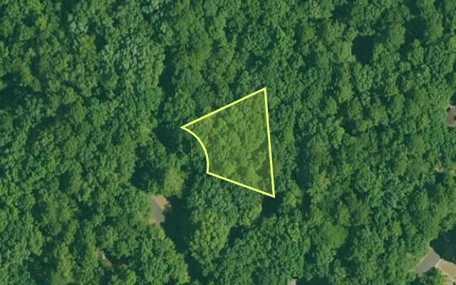 Aerial view of GARLAND County parcel 60591 — Arkansas post-auction with approximate parcel outline