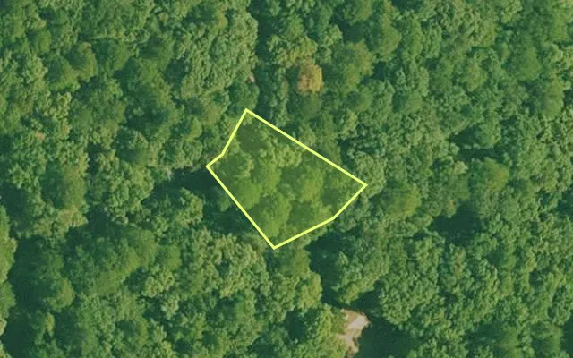 Aerial view of GARLAND County parcel 74788 — Arkansas post-auction with approximate parcel outline