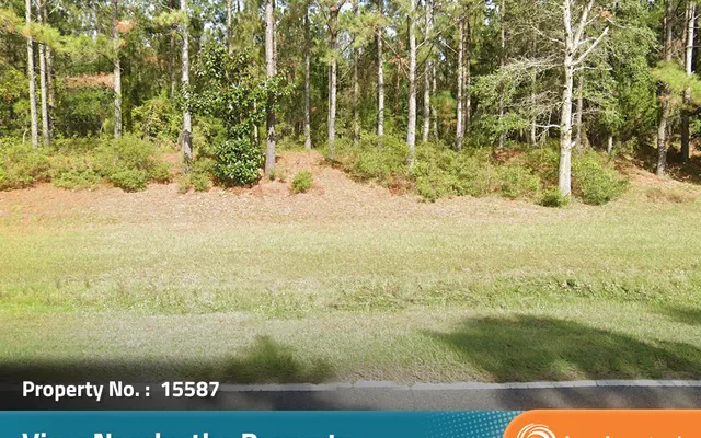 LandCentral listing preview for 0.31 acres in Camden, GA — 15587