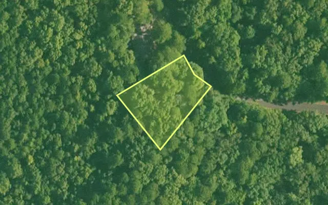 Aerial view of GARLAND County parcel 58889 — Arkansas post-auction with approximate parcel outline