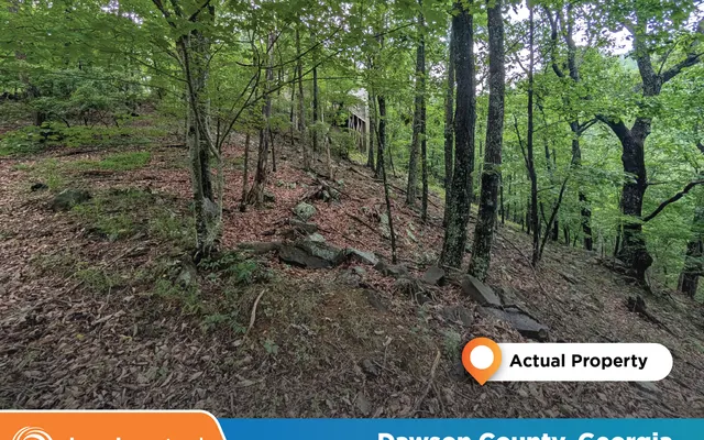 LandCentral listing preview for 1.54 acres in Dawson, GA — 15101