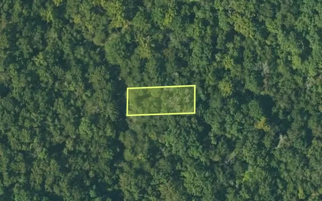 Aerial view of FULTON County parcel 110-10622-000 — Arkansas post-auction with approximate parcel outline