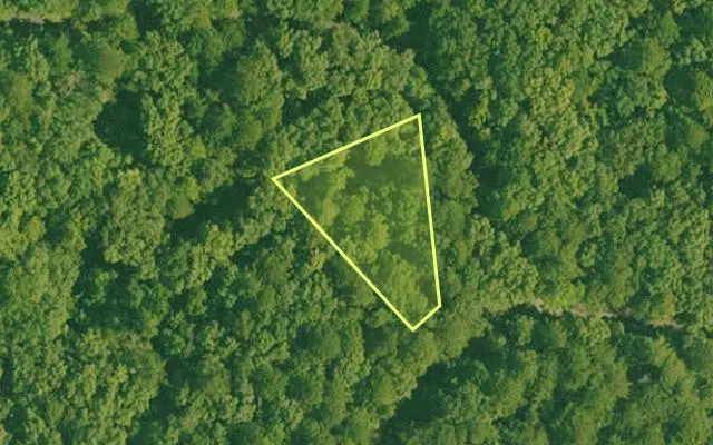 Aerial view of GARLAND County parcel 72680 — Arkansas post-auction with approximate parcel outline