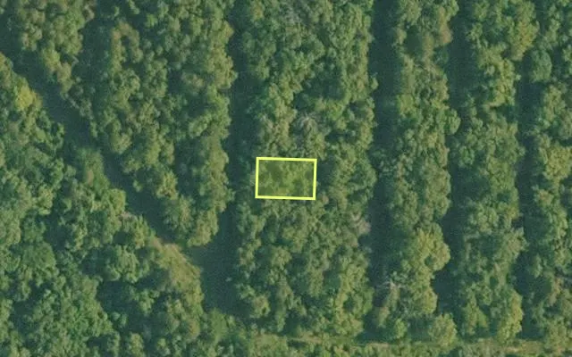 Aerial view of BAXTER County parcel 010-02339-036 — Arkansas post-auction with approximate parcel outline