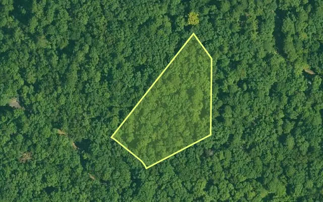 Aerial view of GARLAND County parcel 65622 — Arkansas post-auction with approximate parcel outline