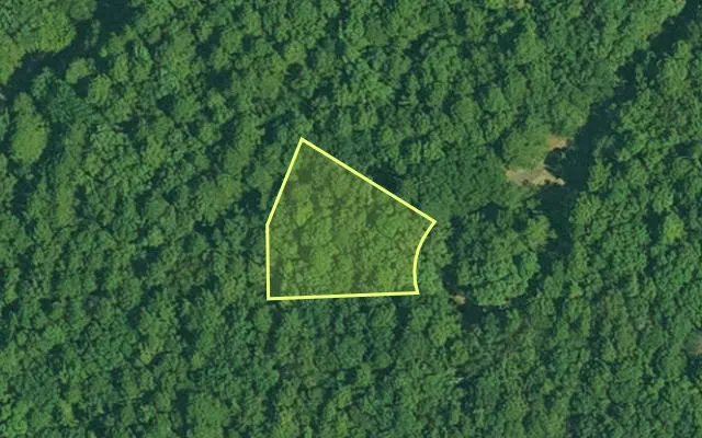 Aerial view of GARLAND County parcel 64733 — Arkansas post-auction with approximate parcel outline