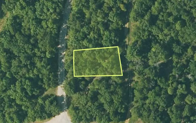 Aerial view of FULTON County parcel 290-17226-000 — Arkansas post-auction with approximate parcel outline