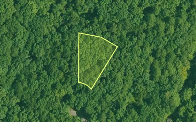 Aerial view of GARLAND County parcel 60509 — Arkansas post-auction with approximate parcel outline