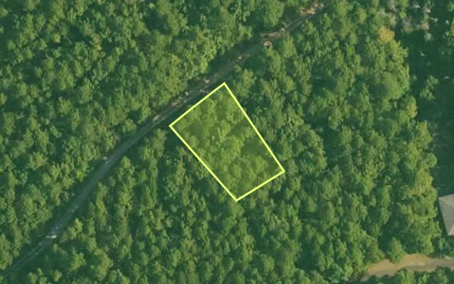 Aerial view of SALINE County parcel 420-00060-000 — Arkansas post-auction with approximate parcel outline