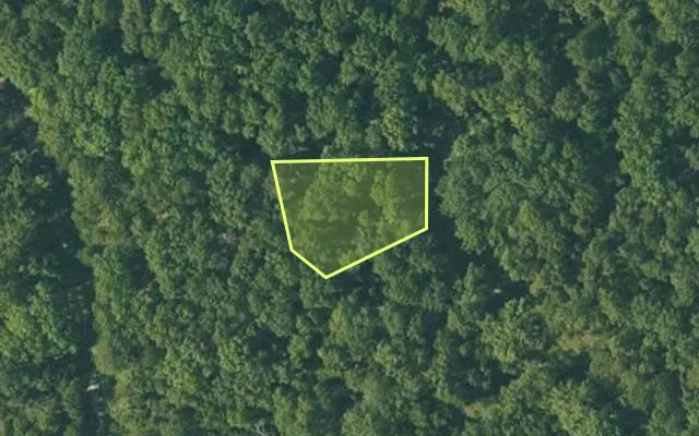 Aerial view of FULTON County parcel 240-15341-000 — Arkansas post-auction with approximate parcel outline