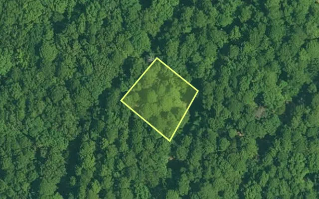 Aerial view of GARLAND County parcel 61338 — Arkansas post-auction with approximate parcel outline