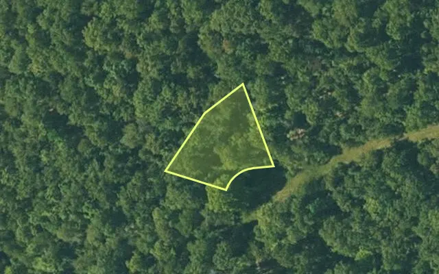 Aerial view of FULTON County parcel 375-20484-000 — Arkansas post-auction with approximate parcel outline