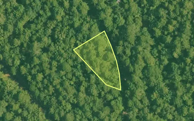 Aerial view of SALINE County parcel 496-00178-000 — Arkansas post-auction with approximate parcel outline