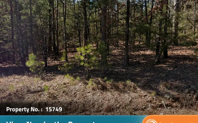 LandCentral listing preview for 0.25 acres in Van Buren, AR — 15749