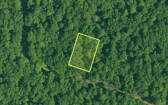 Aerial view of GARLAND County parcel 65461 — Arkansas post-auction with approximate parcel outline