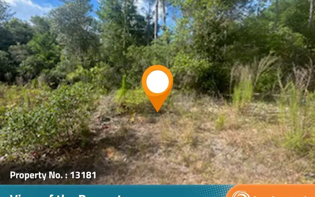 LandCentral listing preview for 0.4 acres in Putnam, FL — 13181